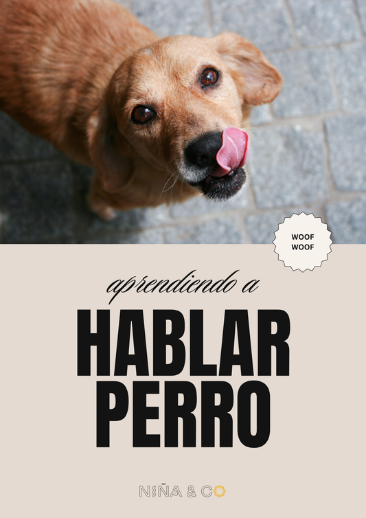 Aprendiendo a Hablar Perro - Guía Gratuita